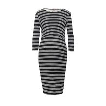 Dorothy Perkins Maternity 